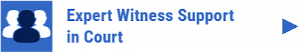 Expert Witness Support in Court