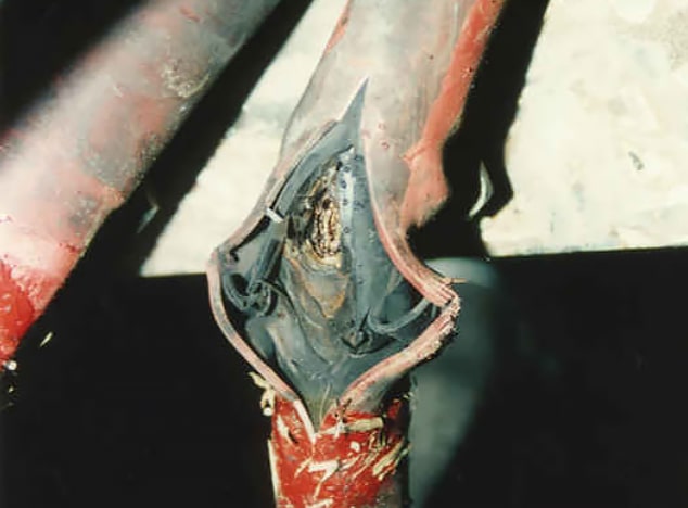 Mechanical & Electrical Equipment Failure Analysis