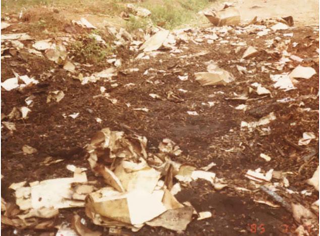 Non-Marine Damage Assessment